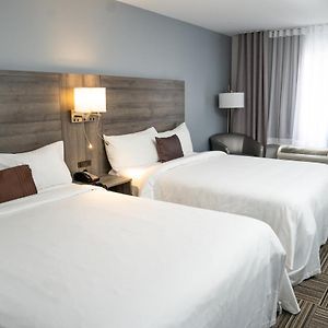 Chambre Lit Queen-Size